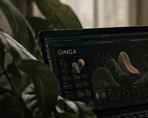 Arte conceitual do Ginga